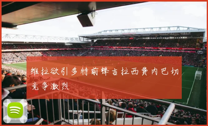维拉欲引多特前锋吉拉西费内巴切竞争激烈