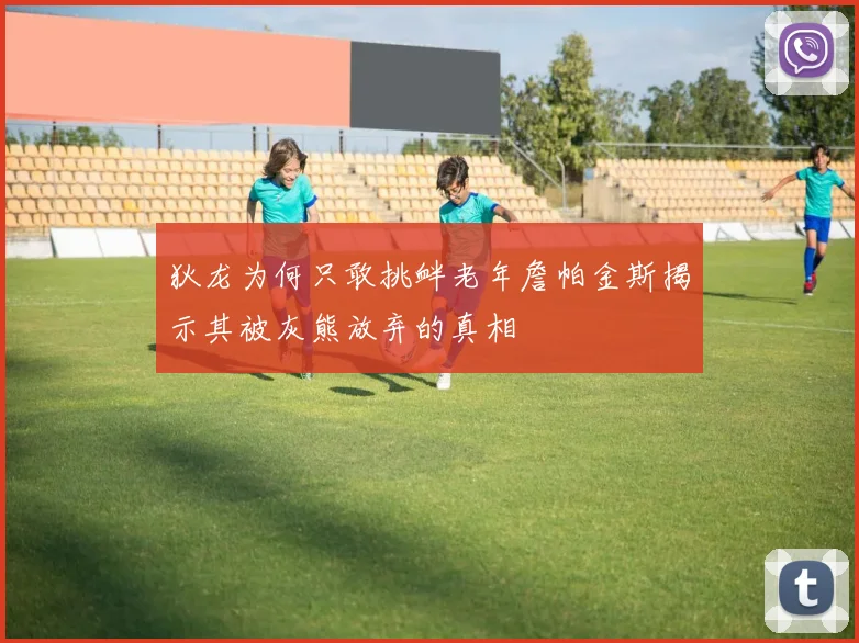 狄龙为何只敢挑衅老年詹帕金斯揭示其被灰熊放弃的真相